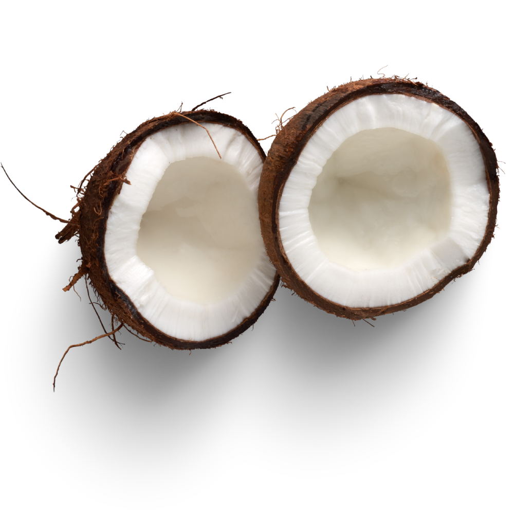 Coconut