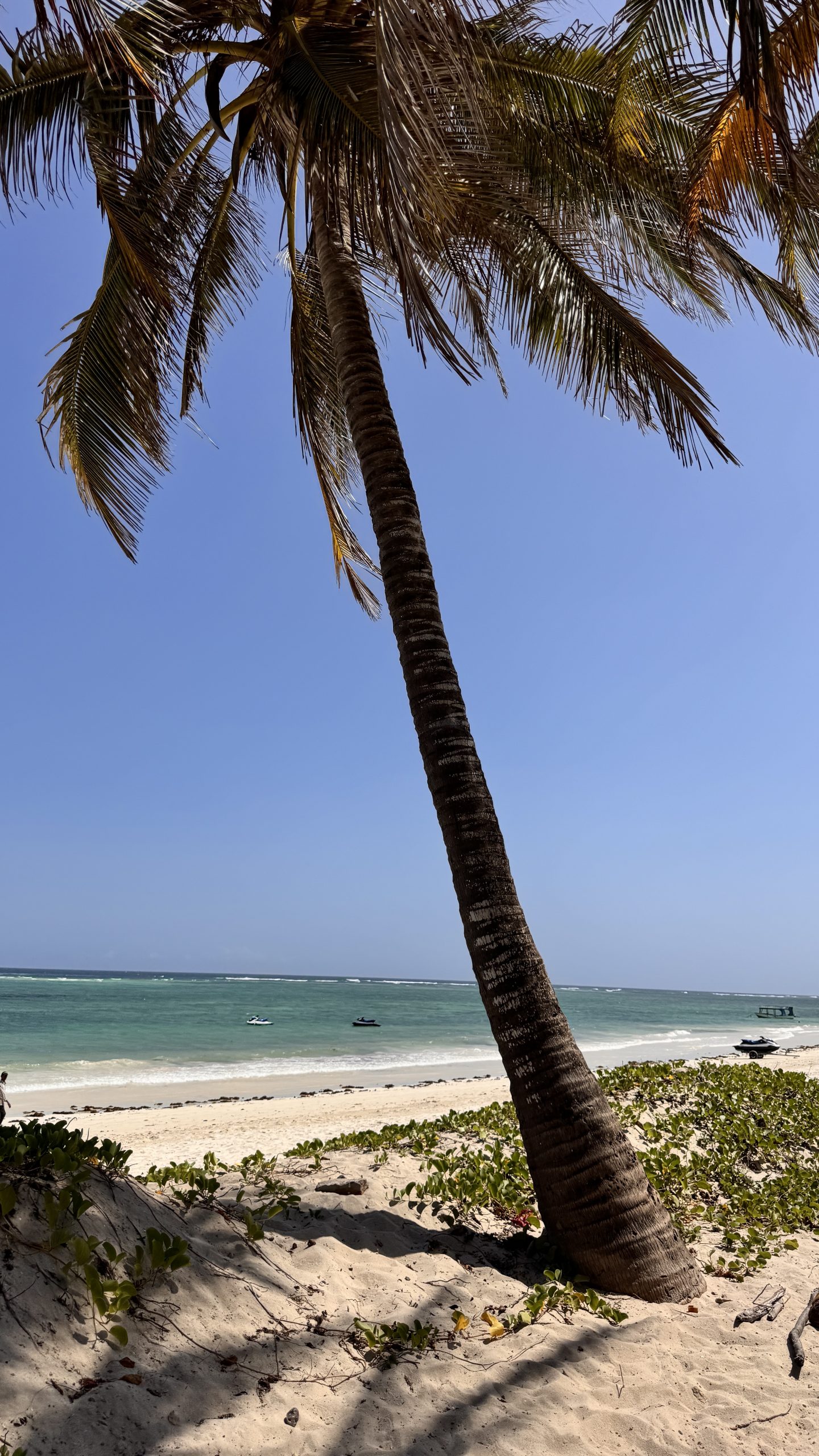 Nomad Muse Reisebild 3